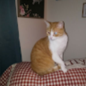 Meet your Posher, Judy